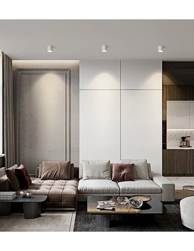 Ceiling downlights - tubes - Abigali Spot Vaiolett 10W WW White ceiling luminaire - product kolory-swiatla.pl 3