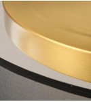 LED ceiling lamps - Abigali LED Plafond ABIGALI MDG60NW Golden EYE 60W 4000K - product 5