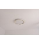 LED ceiling lamps - Abigali LED Plafond Round Gold 500*45mm 36W - three colors, dimmable - Remote Control. - product 5