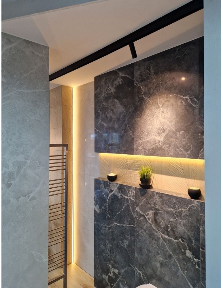 Abigali Oprawa szynowa LWQ-M05 Magneto (48V, ściemnianie 1-10V) 12W 3000K CRI90