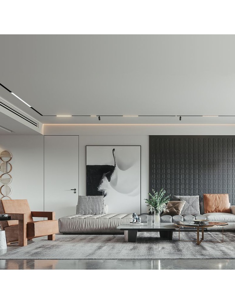 Abigali Oprawa szynowa LWQ-M07S Magneto (48V, ściemnianie 1-10V) 24W 3000K CRI90