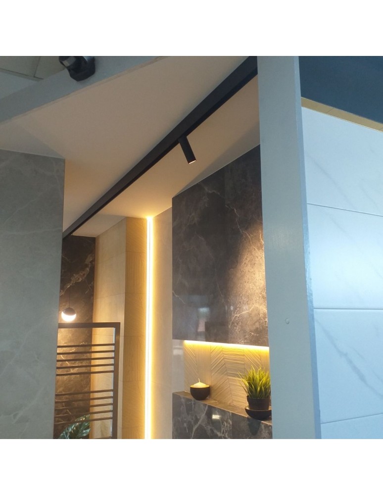 Abigali Oprawa szynowa LWQ-M09 Magneto (48V, ściemnianie 1-10V) 24W 3000K CRI90