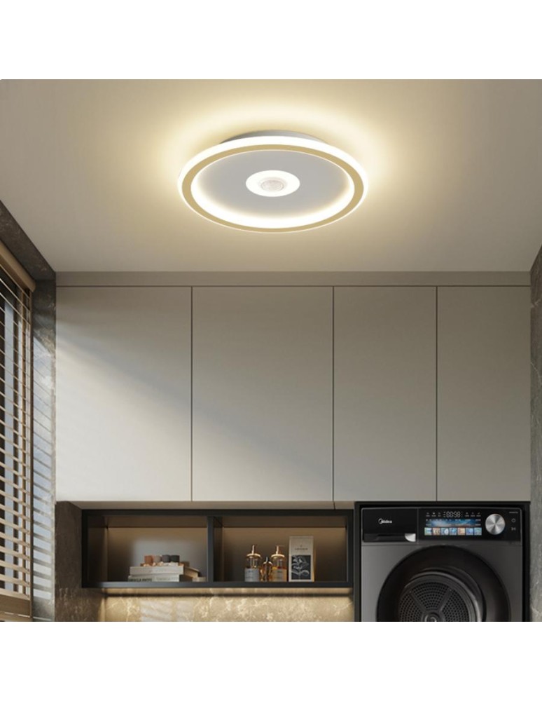 LED ceiling lamps - Abigali LED Round Slim Motion Plafond with Adjustable PIR 3000K Gold Motion Sensor - product kolory-swiatla.pl 4