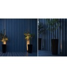 Abigali Reflektor zewnętrzny LED Raven 5W IP66 WW czarny