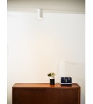 Ceiling luminaires for replaceable light source - Lucide DELTO LED Ceiling 1xGU10 white 09915/06/31 - product 4