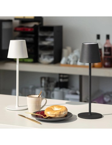 Abruzzo LED Table Lamp 3W USB CCT Rechargeable Gino ABR-LB-Z-RUSB. - product 2