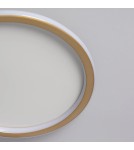 Ceiling lamps - Abruzzo LED Plafond 36W Round Gold CCT 3000K/4000K/6000K 50cm Angelo ABR-PLO-36W-50CM-CCT - product 12