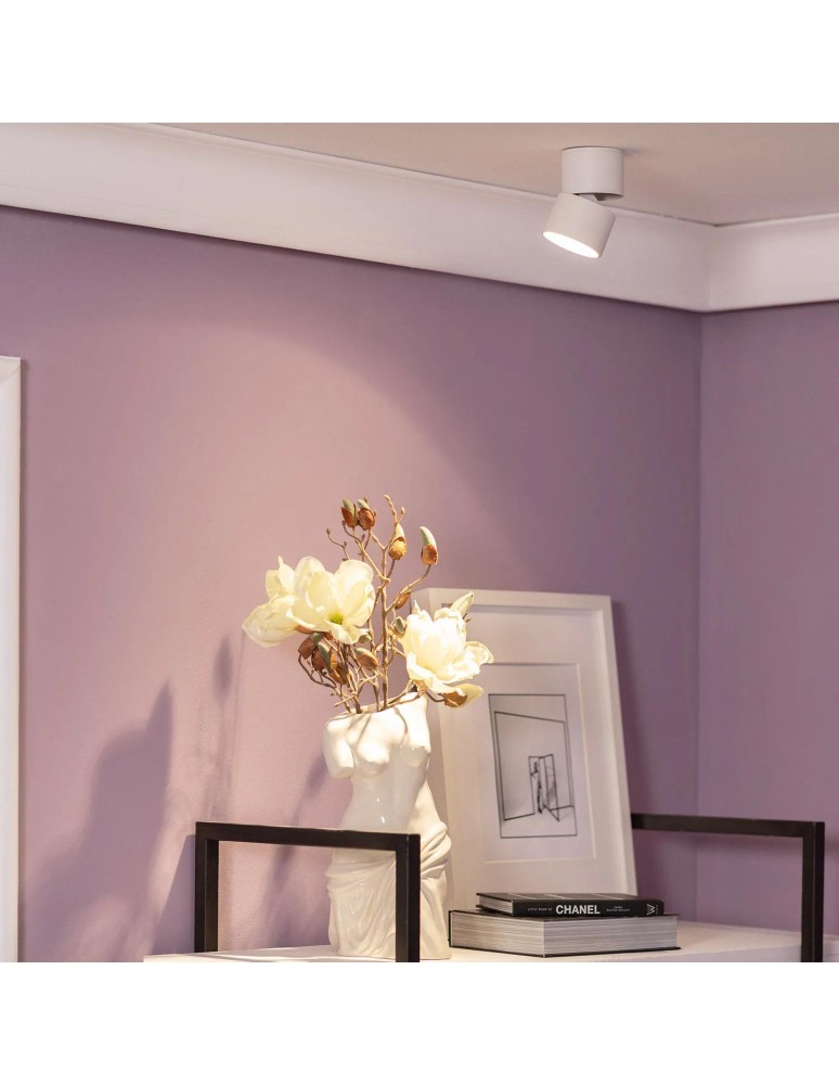 Spotlight ceiling lamps - Abruzzo White 30W Spott LED 4000-4500K Romeo 12x11cm spot lamp ABR-LPR-30W-B-NW - product kolory-swiatla.pl 3