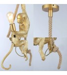 Pendant lamps - Abruzzo Pino E27 Gold Monkey Pendant Lamp ABR-KAR-G - product 5