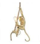 Pendant lamps - Abruzzo Pino E27 Gold Monkey Pendant Lamp ABR-KAR-G - product 6
