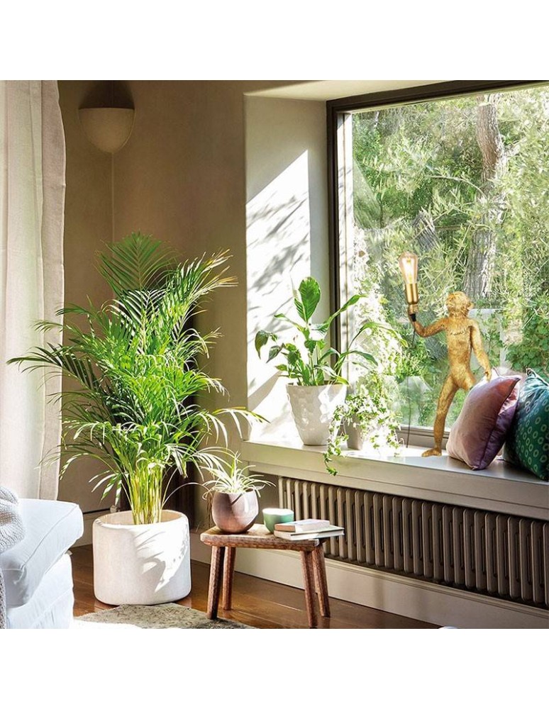 Table lamps - Abruzzo Table Lamp Gold Monkey 55cm Caesar E27 ABR-KARD5-G - product kolory-swiatla.pl 6