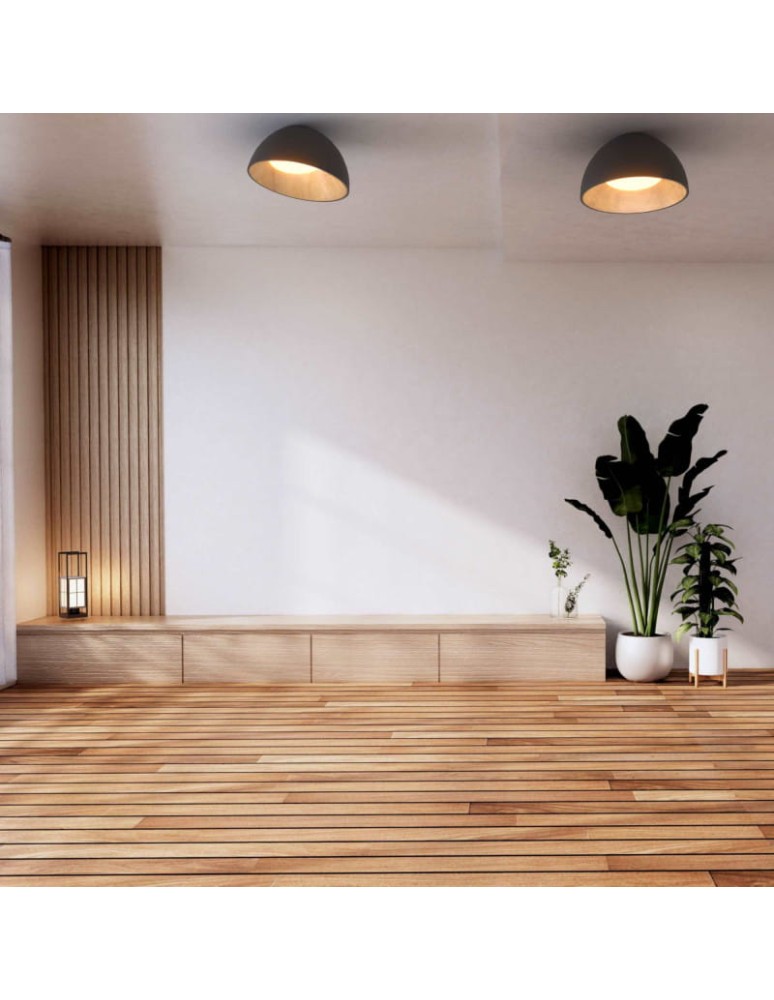 Ceiling lamps - Abruzzo Plafond Classic 24W CCT 50cm Wood-Black Piano ABR-POCC-24-B - product kolory-swiatla.pl 12