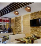 Abruzzo Plafon Klasyczny 24W CCT 50cm Drewniano-Czarny Piano ABR-POCC-24-B Abruzzo Plafon Klasyczny 24W CCT 50cm Drewniano-Czarny Piano ABR-POCC-24-B