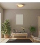 Ceiling lamps - Abruzzo Plafond Classic 24W CCT 45cm Wood-Black Piano ABR-POASY-24W - product 11