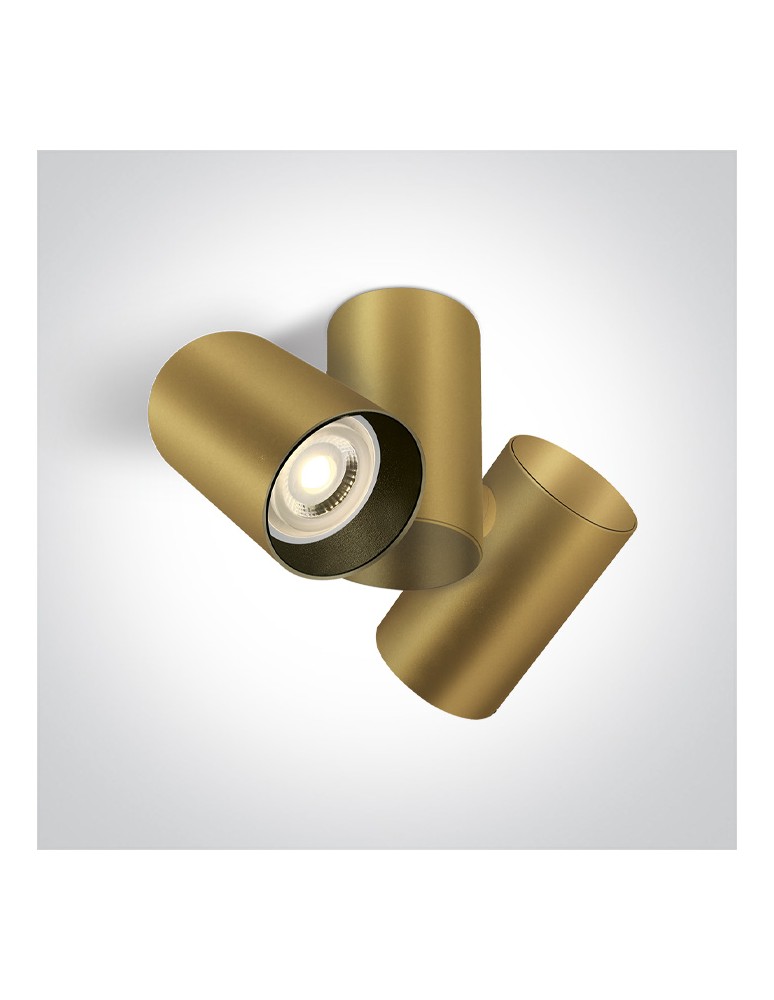 One Light ELATOS E2 sufitowa 2x10W GU10 szampański  65205E/CH