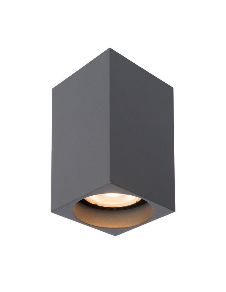 Ceiling luminaires for replaceable light source - Lucide DELTO LED Ceiling 1xGU10 grey 09916/06/36 - product kolory-swiatla.pl 1