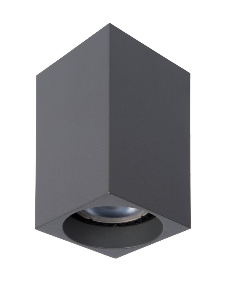 Ceiling luminaires for replaceable light source - Lucide DELTO LED Ceiling 1xGU10 grey 09916/06/36 - product kolory-swiatla.pl 3