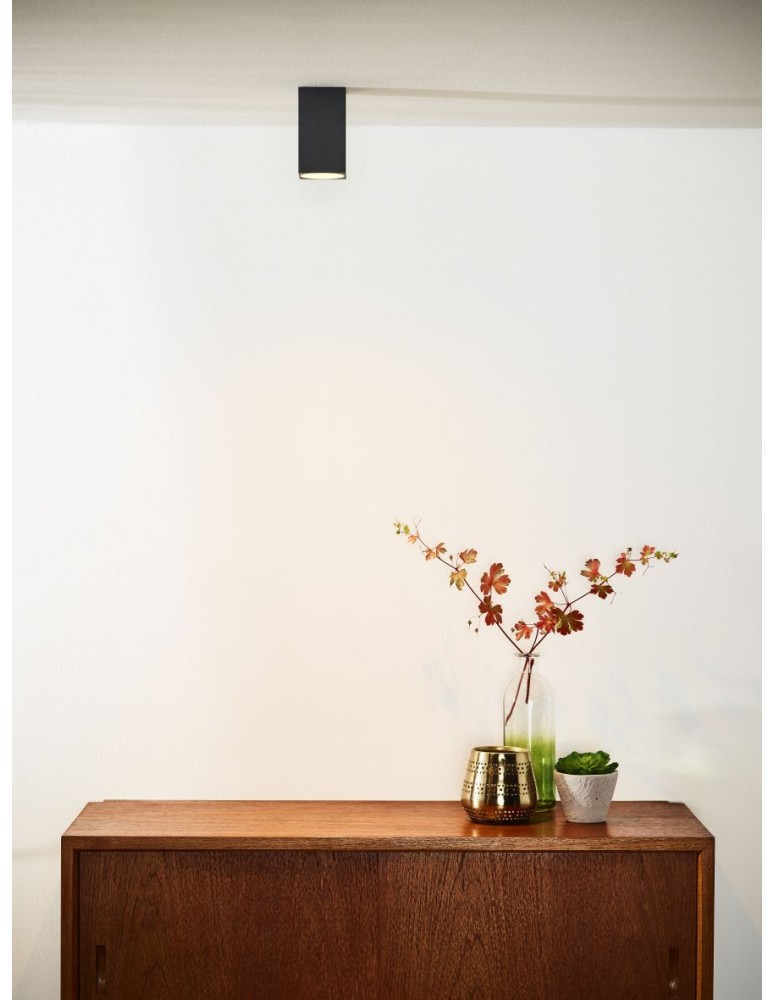 Ceiling luminaires for replaceable light source - Lucide DELTO LED Ceiling 1xGU10 grey 09916/06/36 - product kolory-swiatla.pl 4