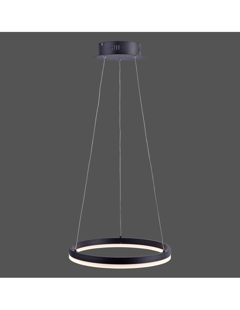 Paul Neuhaus Titus Lampa Wisząca Antracyt