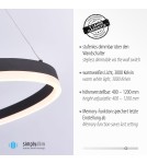 Paul Neuhaus Titus Lampa Wisząca Antracyt