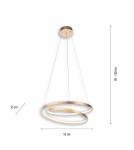 Paul Neuhaus Roman Lampa Wisząca Złoty 2472-12