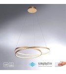 Paul Neuhaus Roman Lampa Wisząca Złoty 2474-12