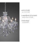 Paul Neuhaus Gracia Lampa Wisząca Trasparentny 3081-00
