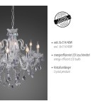 Paul Neuhaus Gracia Lampa Wisząca Trasparentny 3081-00