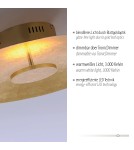 Paul Neuhaus Plate Lampa Sufitowa Złoty 8132-12