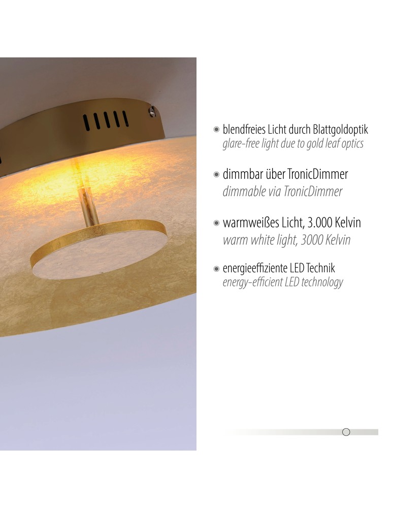 Paul Neuhaus Plate Lampa Sufitowa Złoty 8132-12