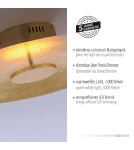 Paul Neuhaus Plate Lampa Sufitowa Złoty 8132-12