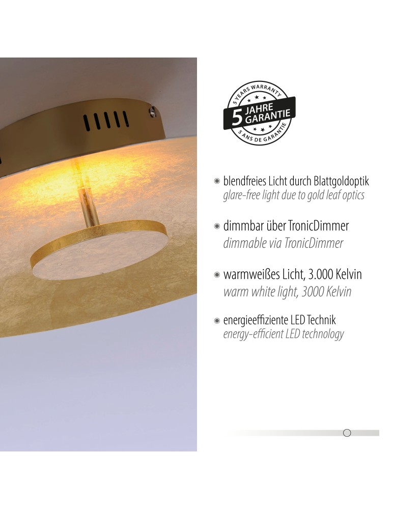 Paul Neuhaus Plate Lampa Sufitowa Złoty 8132-12