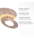Paul Neuhaus Nevis Lampa Sufitowa Złoty 9011-12