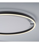 Paul Neuhaus Ritus Lampa Sufitowa Antracyt 15392-13
