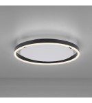 Paul Neuhaus Ritus Lampa Sufitowa Antracyt 15391-13