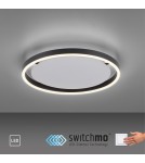 Paul Neuhaus Ritus Lampa Sufitowa Antracyt 15391-13
