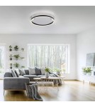 Paul Neuhaus Ritus Lampa Sufitowa Antracyt 15391-13