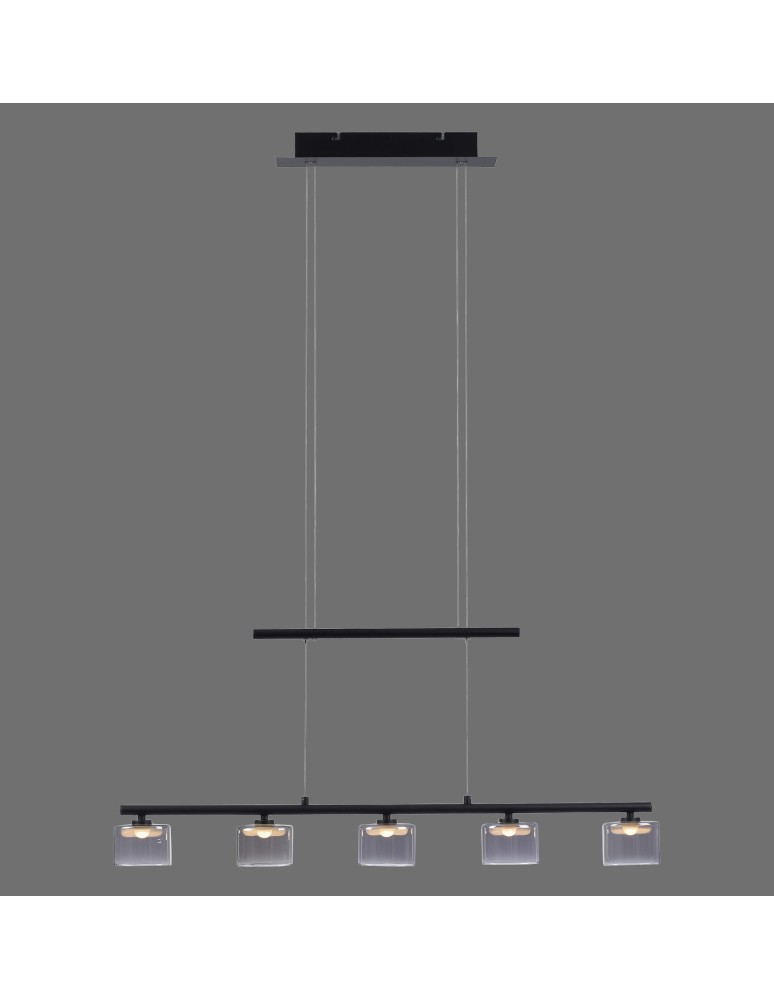 Paul Neuhaus Hydra Lampa Wisząca Czarny 2209-18