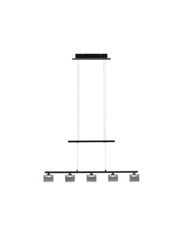 Paul Neuhaus Hydra Lampa Wisząca Czarny 2209-18 - product 2