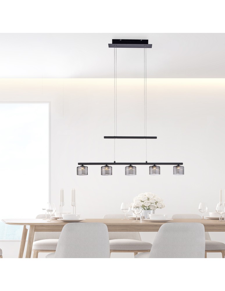 Paul Neuhaus Hydra Lampa Wisząca Czarny 2209-18