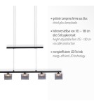 Paul Neuhaus Hydra Lampa Wisząca Czarny 2209-18