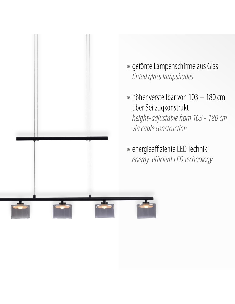 Paul Neuhaus Hydra Lampa Wisząca Czarny 2209-18