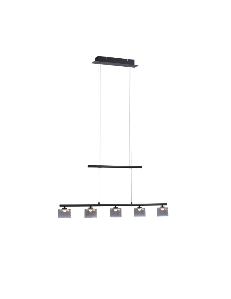 Paul Neuhaus Hydra Lampa Wisząca Czarny 2209-18