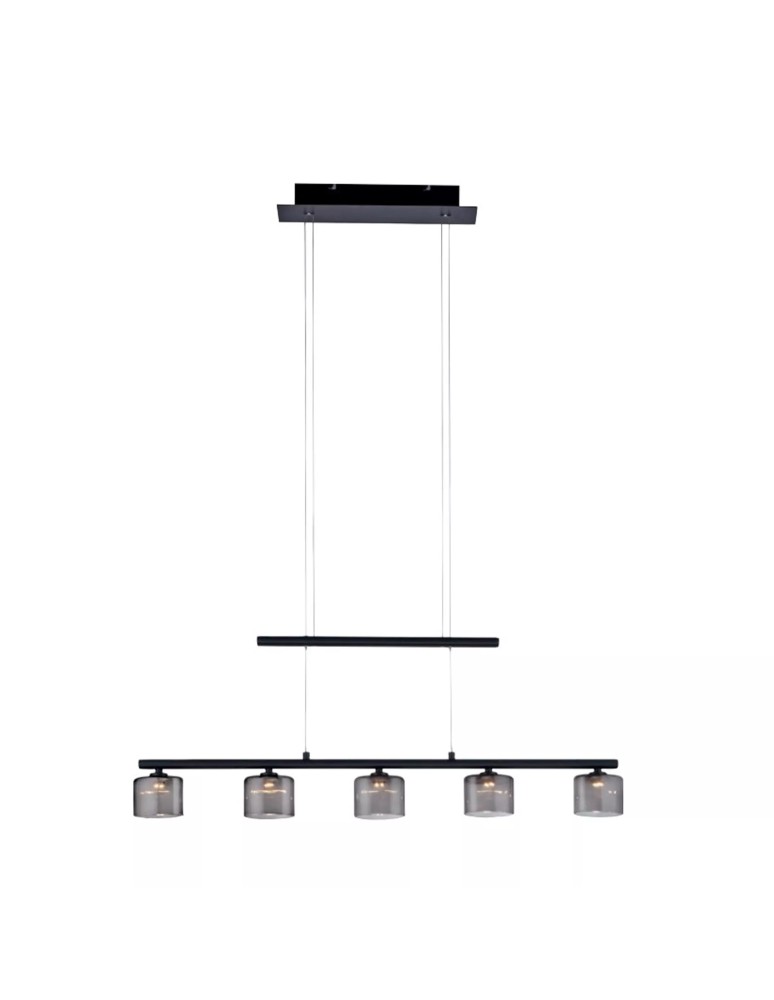 Paul Neuhaus Hydra Lampa Wisząca Czarny 2209-18