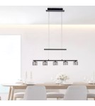 Paul Neuhaus Hydra Lampa Wisząca Czarny 2209-18