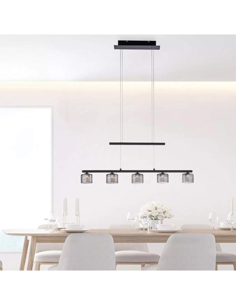 Paul Neuhaus Hydra Lampa Wisząca Czarny 2209-18