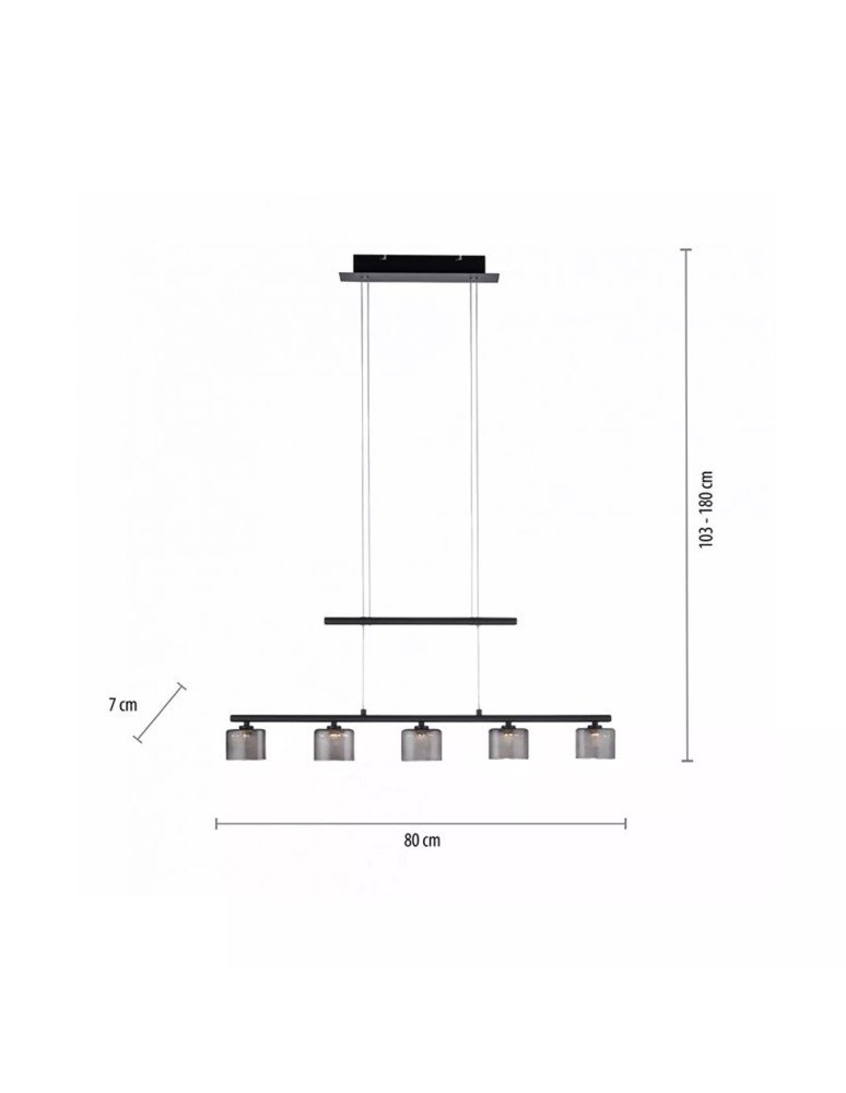 Paul Neuhaus Hydra Lampa Wisząca Czarny 2209-18
