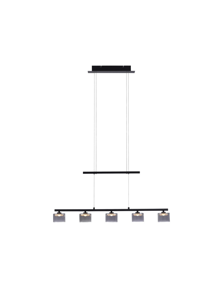Paul Neuhaus Hydra Lampa Wisząca Czarny 2209-18