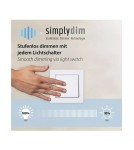 Paul Neuhaus Lautada Lampa Wisząca 2081-18