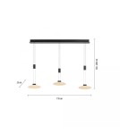 Paul Neuhaus Lautada Lampa Wisząca 2081-18